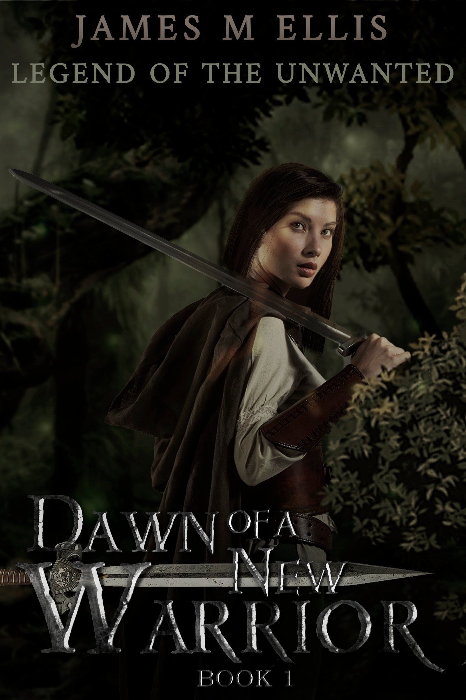 Dawn of a New Warrior book cover