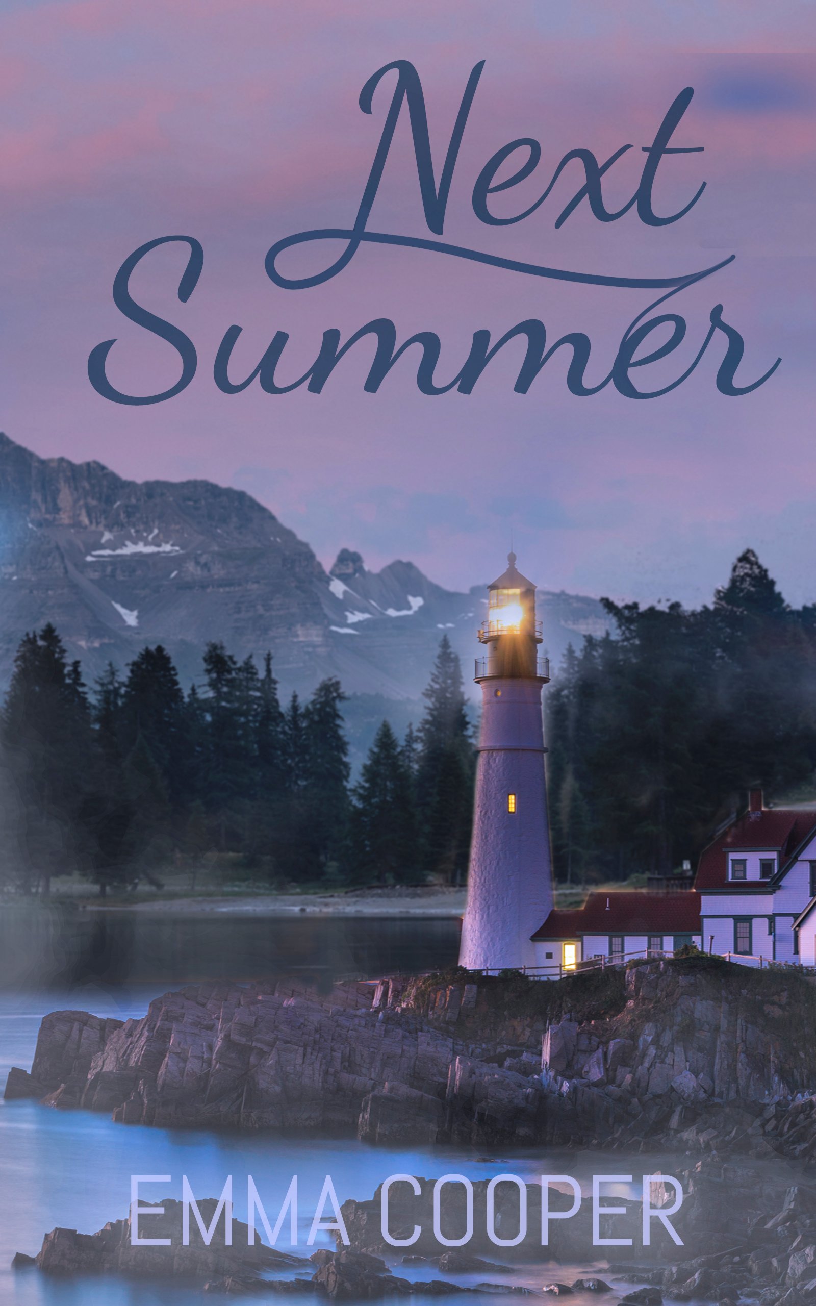 Next Summer book cover