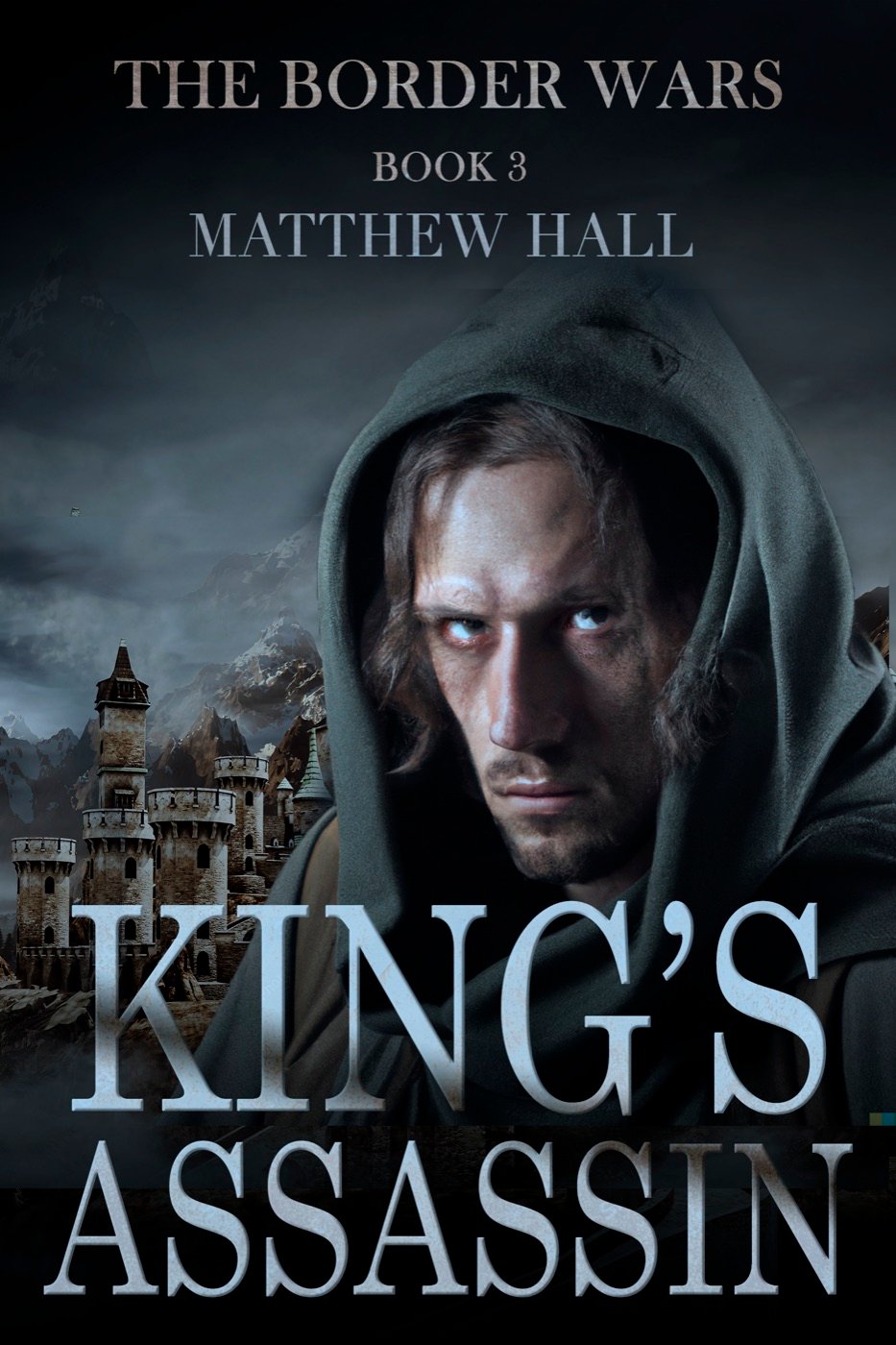 King's Assassin book cover