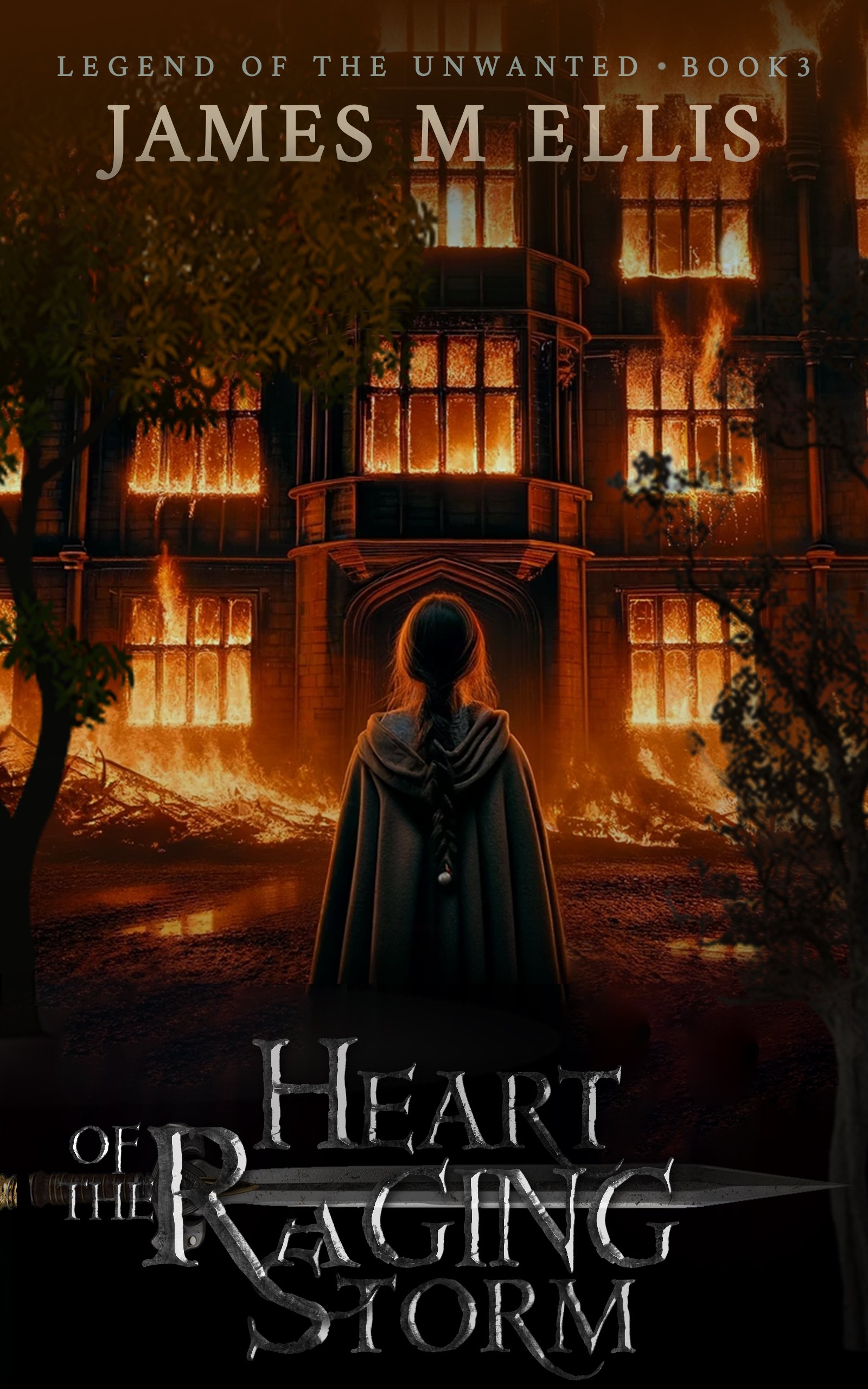 Heart Of The Racing Storm book cover