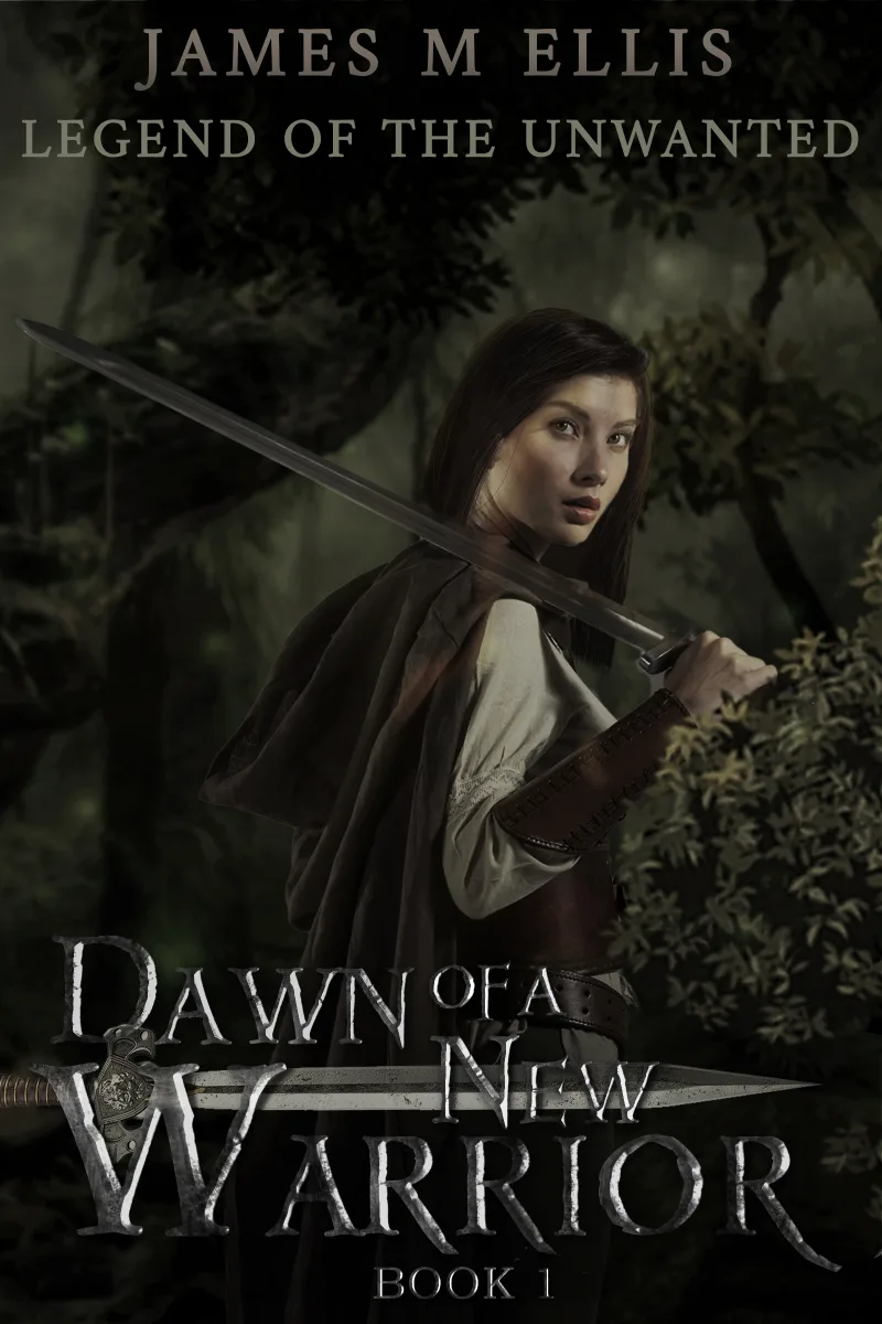 Dawn of a New Warrior book cover